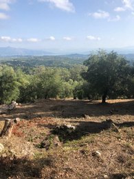 LAND for Sale - WEST CORFU